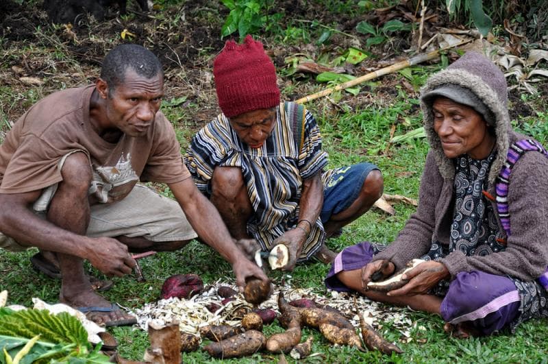 Local food preparation