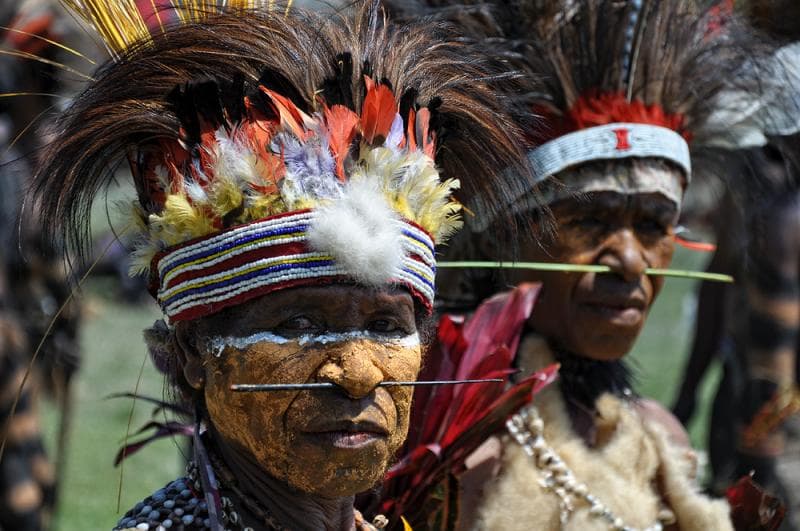PNG Traditional headdress
